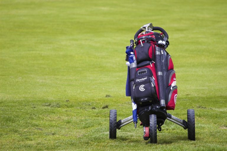 What Are The Pros And Cons Of Buying A Cart Bag